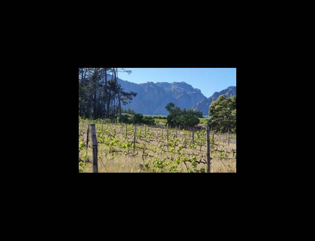 42HA FARM FOR SALE IN PAARL RURAL